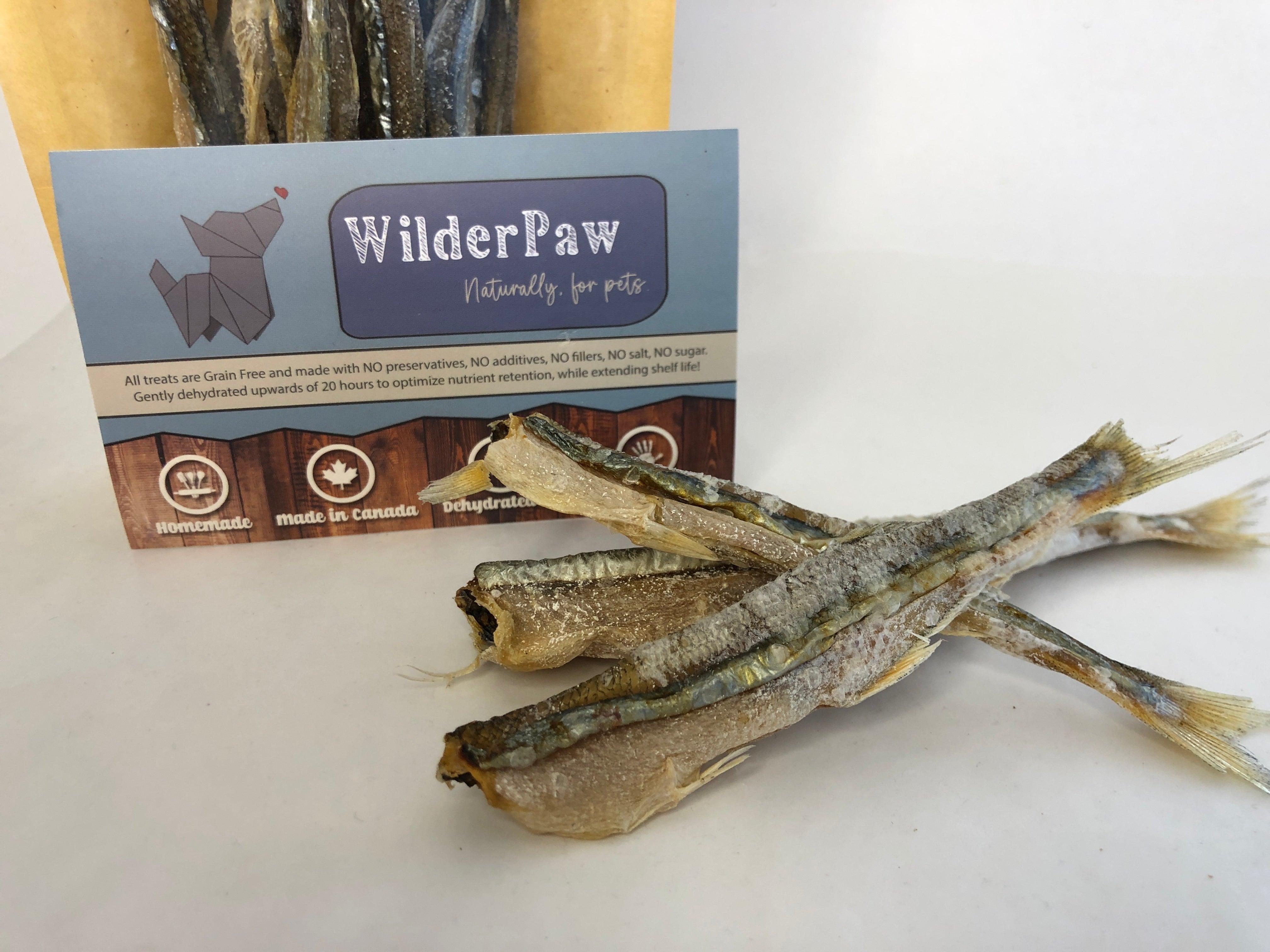 Dried capelin for outlet dogs